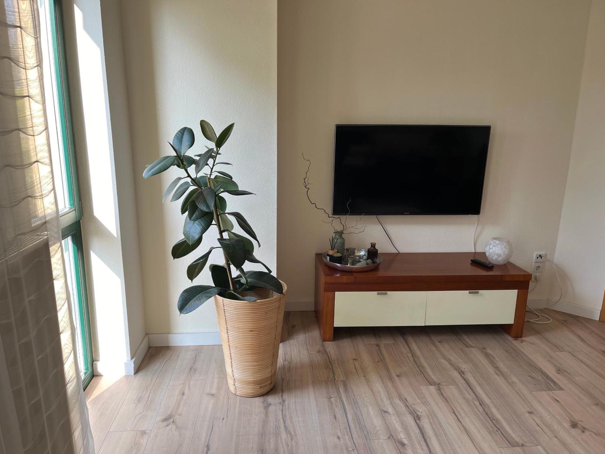Apartment Zentrumsnahe Im Gruenen